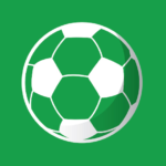 Дмитрий Останин